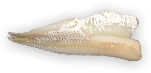 Fresh and Frozen Cod Fillets